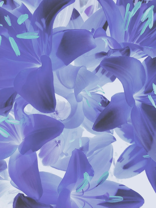 Combating Negative Emotional States