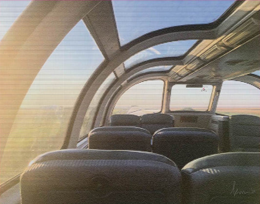 The Slow Train Home